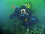 06.10.2012 r . - Integracyjne nurkowanie nad jeziorem Lipie